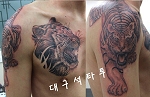 �뱸�������ϴ°�
