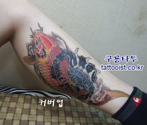 뱸,뱸Ÿ,Ÿ