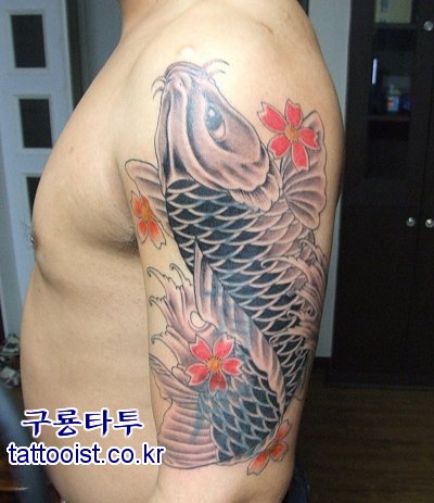 뱸,뱸Ÿ,Ÿ